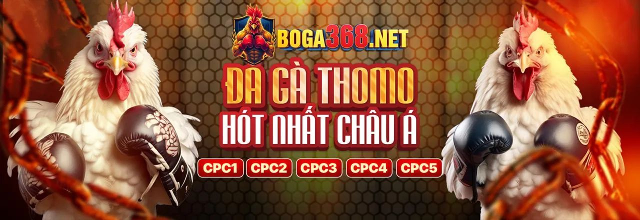 Hình ảnh minh họa Chính Sách Cookie của BL555 Khuyến Mãi